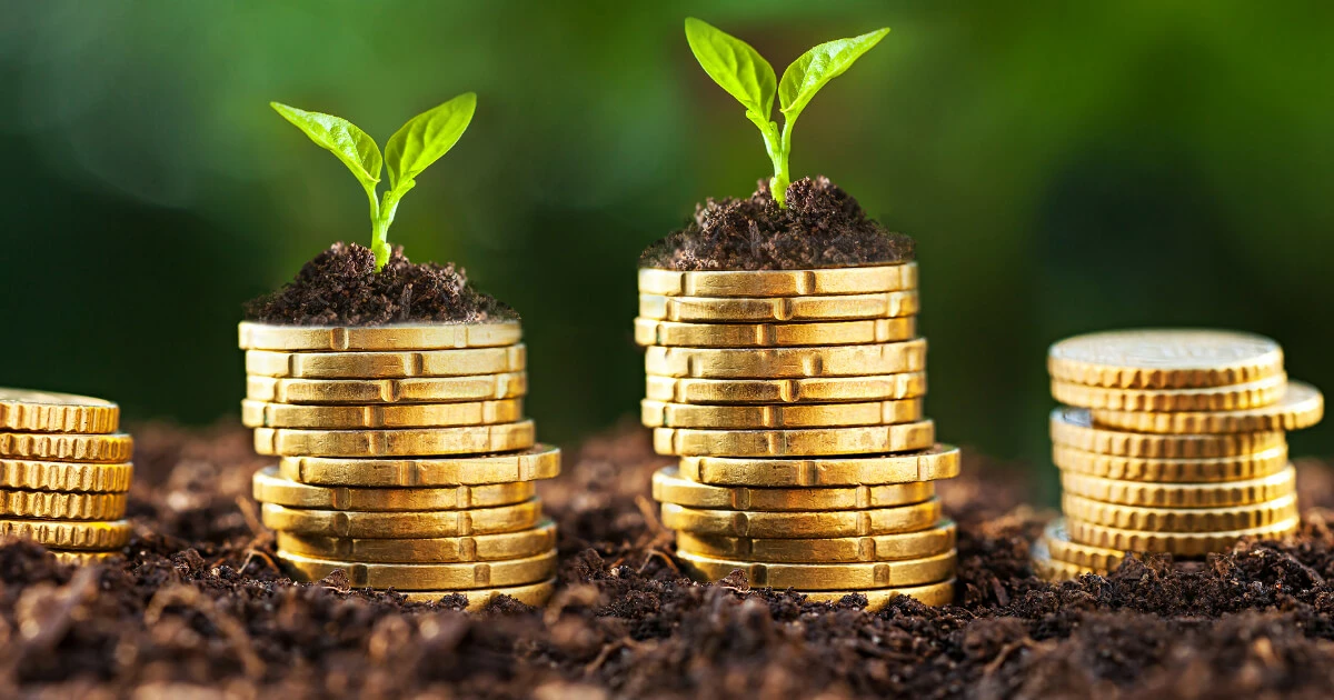 Image: Seed money for your web store