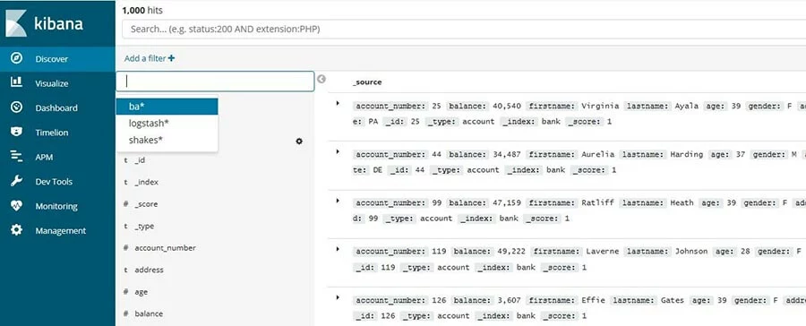 Image: Kibana: list of the entries of a fictitious data set
