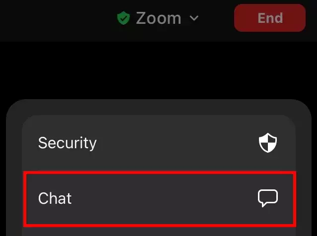Image: Chat feature in the Zoom mobile app