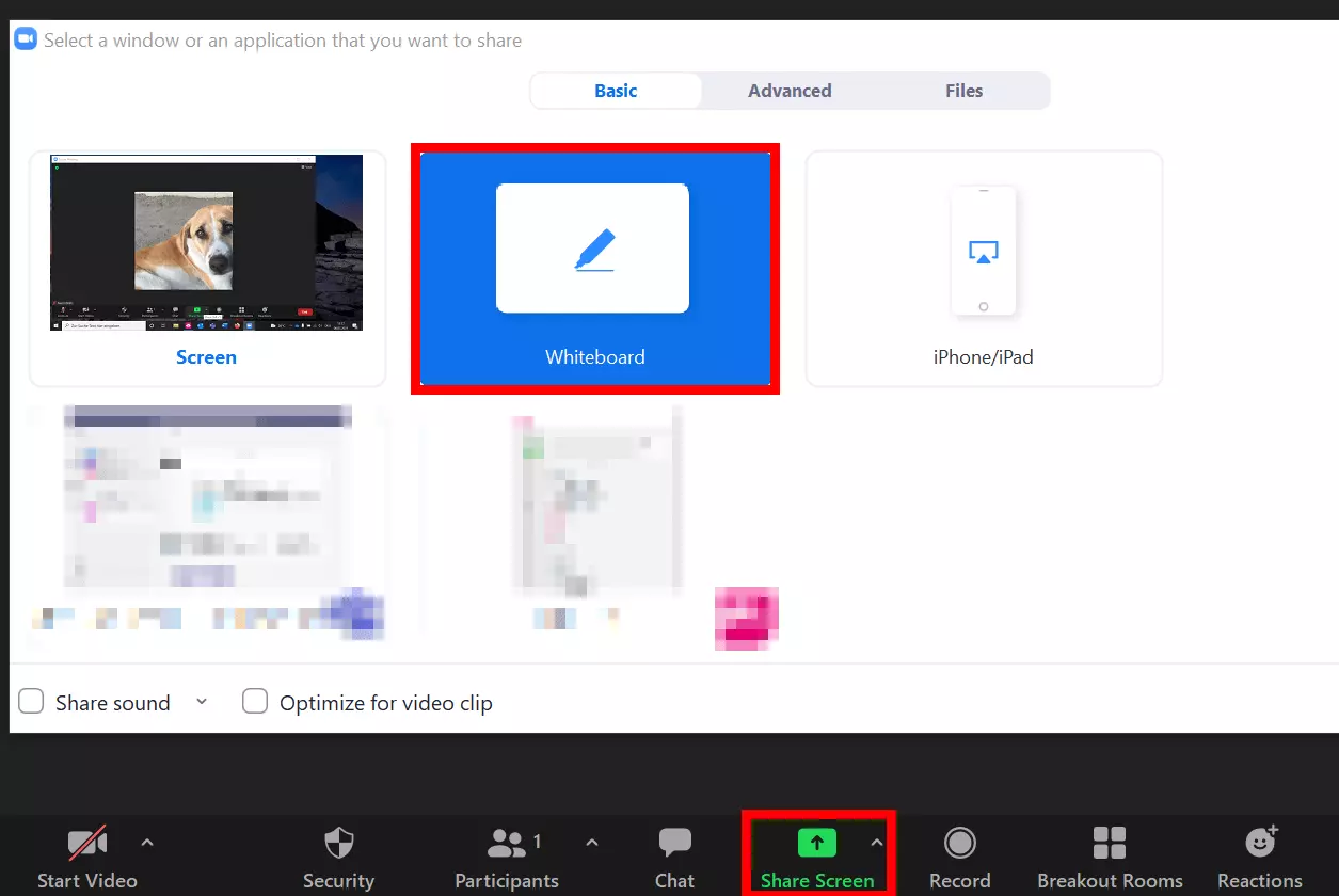 Image: Screen sharing with Zoom whiteboard option