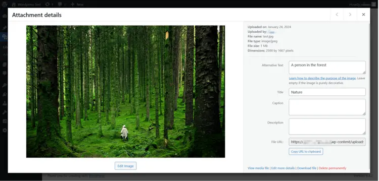 Media library in WordPress Media library in WordPress