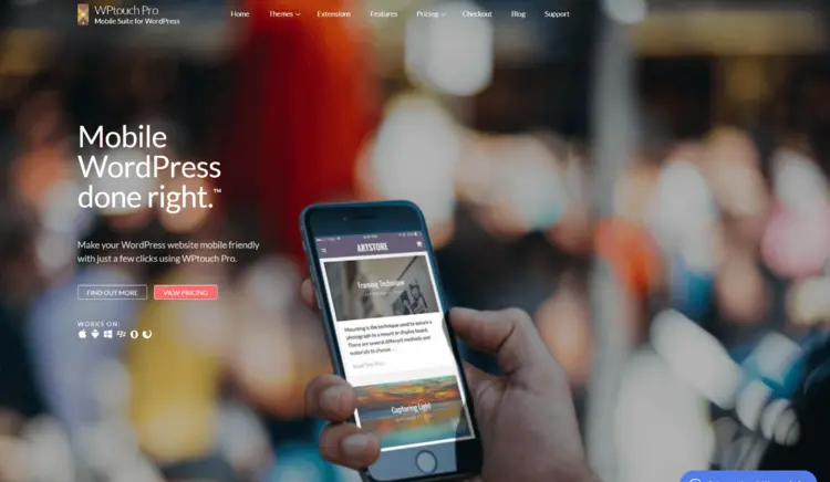 Screenshot of WPtouch Pro website Screenshot of WPtouch Pro website