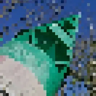 Third stage of loading a progressive JPG photo Image: Third stage of loading a progressive JPG photo