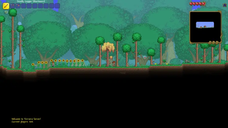 Screenshot from Terraria Screenshot from Terraria