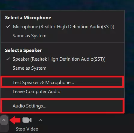 Image: Click the arrow next to the microphone icon to open the audio settings