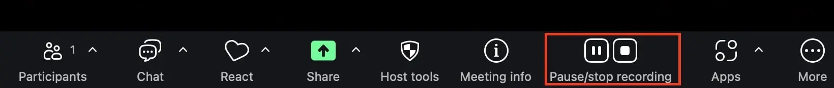 Image: Zoom recording menu: Pause/Stop Recording