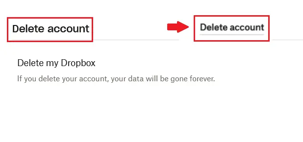 Image: The “Delete account” option in a Dropbox account