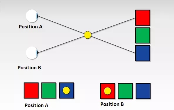 Image: graphical representation of the thumb