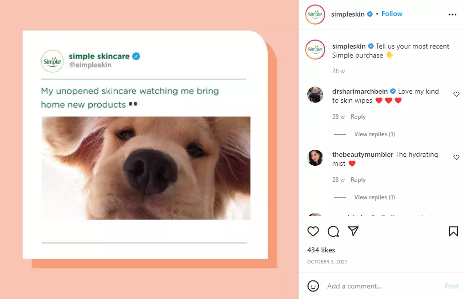 Screenshot of Simple Skincare’s Instagram account with a meme Screenshot of Simple Skincare’s Instagram account with a meme