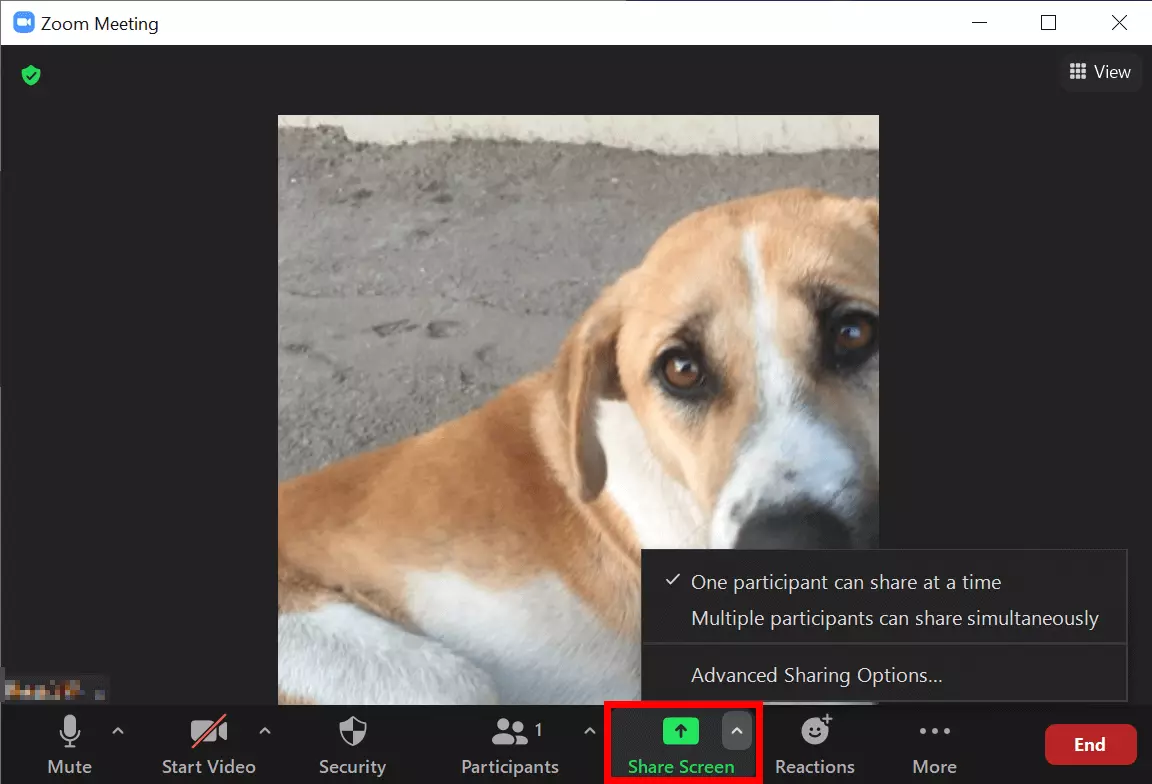Image: Meeting currently in process with the option to share the Zoom screen