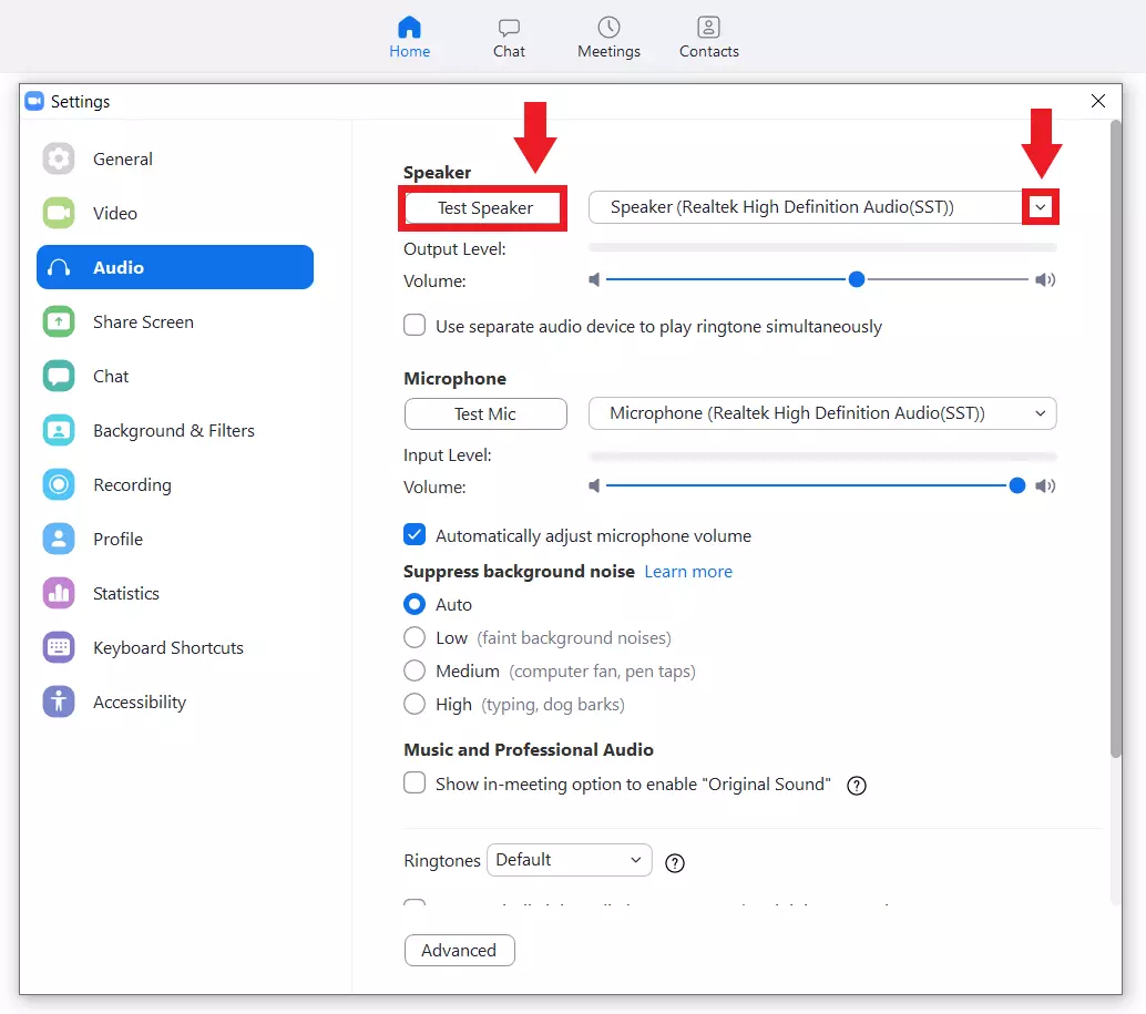 Image: Settings in Zoom with Audio Test