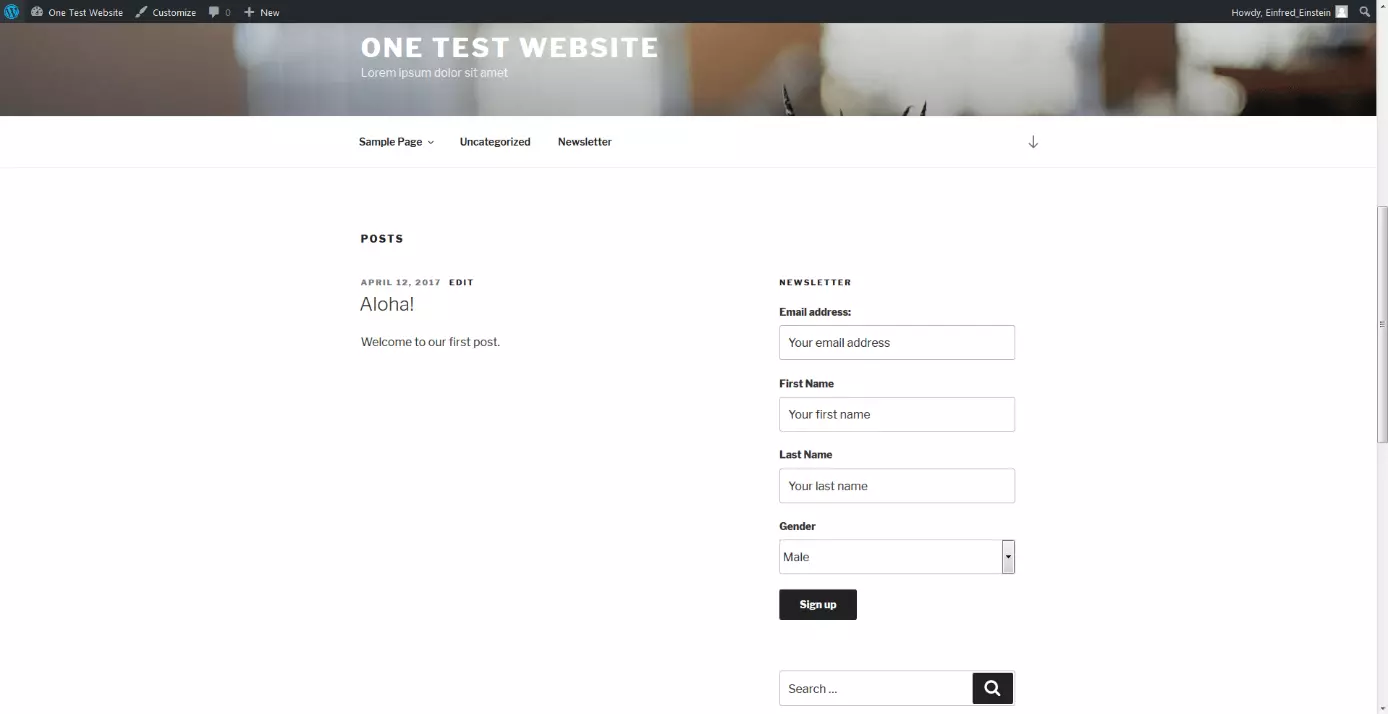 Image: registration form as a widget in the frontend view