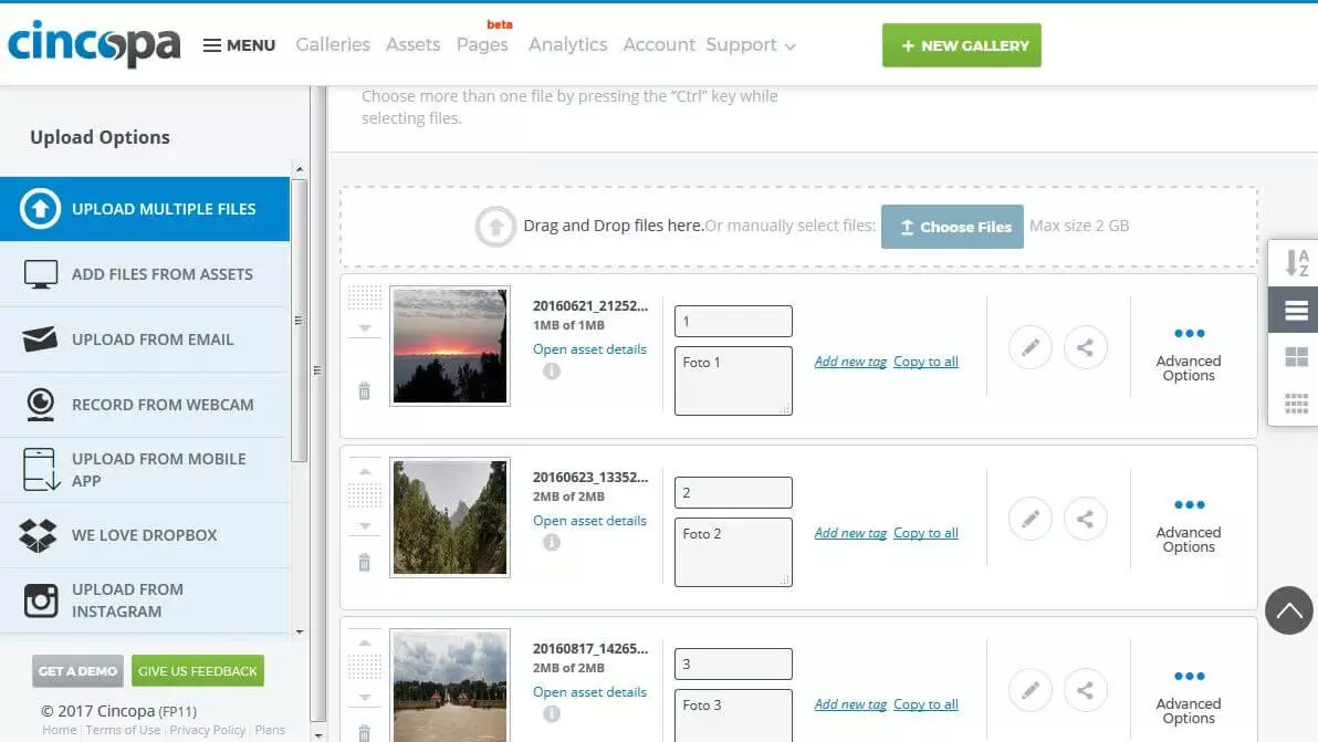 Image: Cincopa: Upload manager