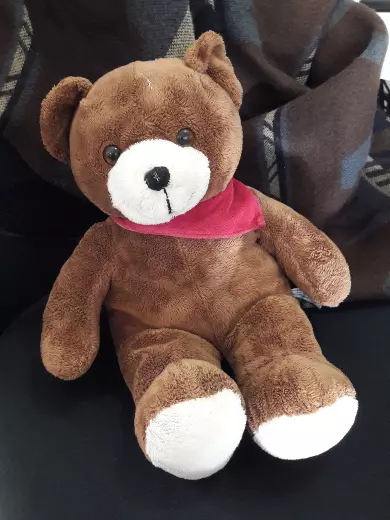Image: APGN sample animation “Teddy Bear”