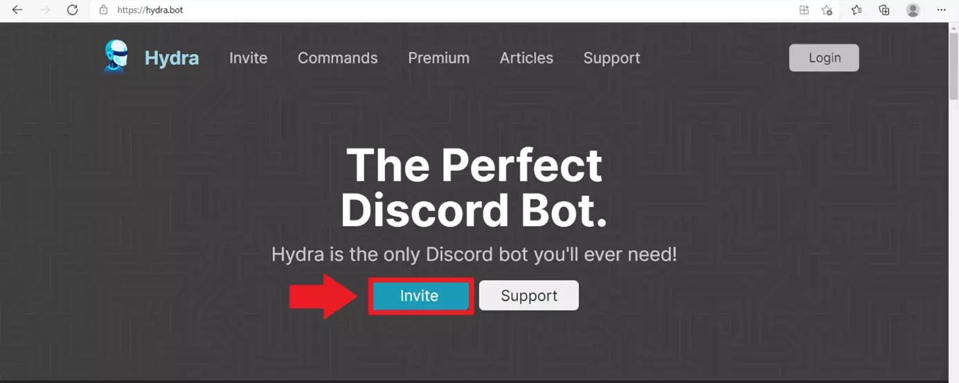 Image: Click on “Invite” to add the music bot to your server
