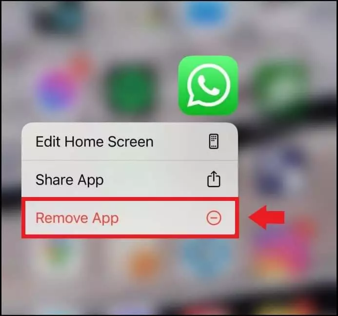 Image: App menu to uninstall WhatsApp on the home screen