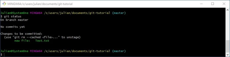 Git-Bash: Checking the status after changing the working copy Git-Bash: Checking the status after changing the working copy