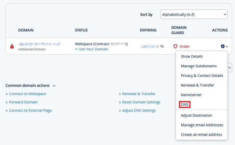 Domains and DNS settings view in a customer account Domains and DNS settings view in a customer account