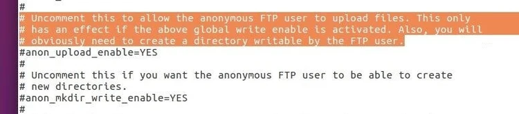 Snippet of the vsftpd configuration file Snippet of the vsftpd configuration file