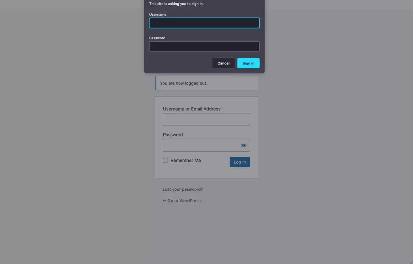 Image: WP admin login page protected with server password