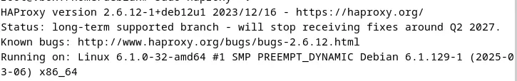 Image: Screenshot of the current HAProxy version in the terminal
