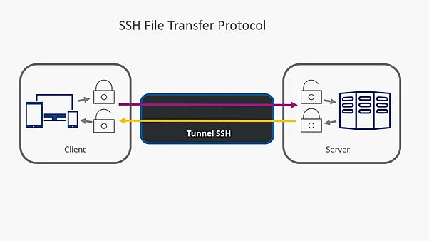 Schematic representation of SFTP data transfer Image: Schematic representation of SFTP data transfer