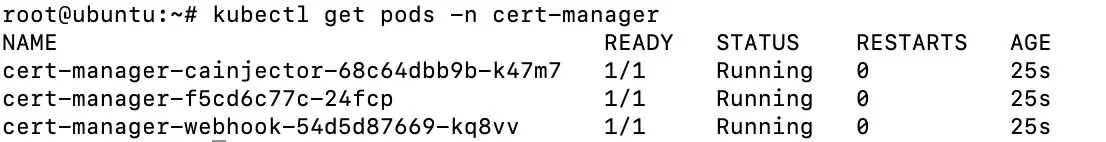 Cert-manager install with Helm Image: Cert-manager install with Helm