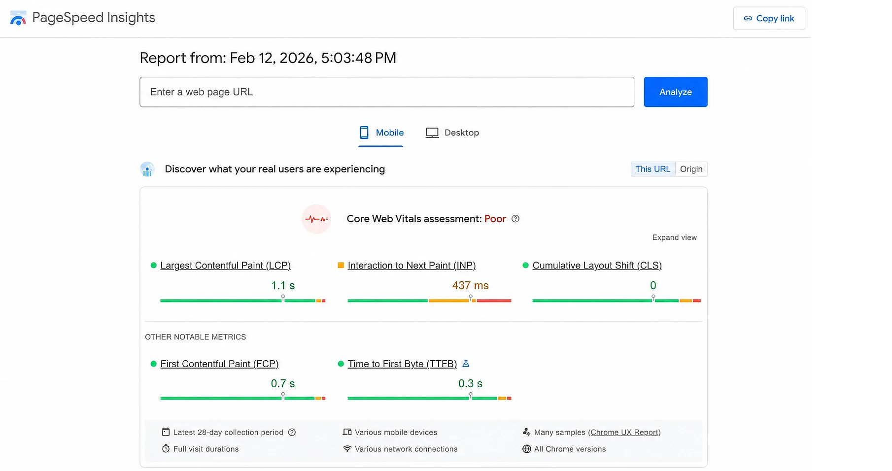 View of the Core Web Vitals in PageSpeed Insights Image: View of the Core Web Vitals in PageSpeed Insights