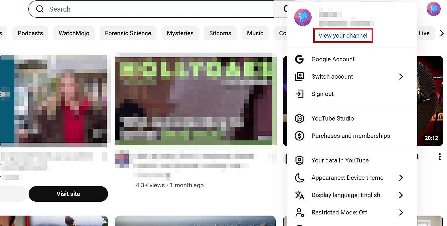 ‘View your channel’ button in YouTube settings Image: ‘View your channel’ button in YouTube settings
