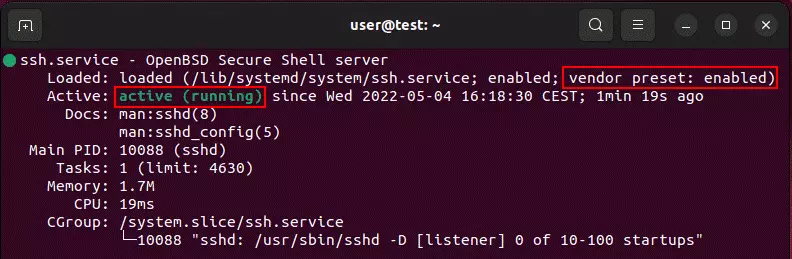 Image: Terminal output for the OpenSSH status check