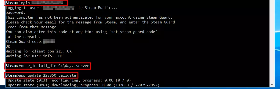 SteamCMD: Installing the DayZ server Image: SteamCMD: Installing the DayZ server