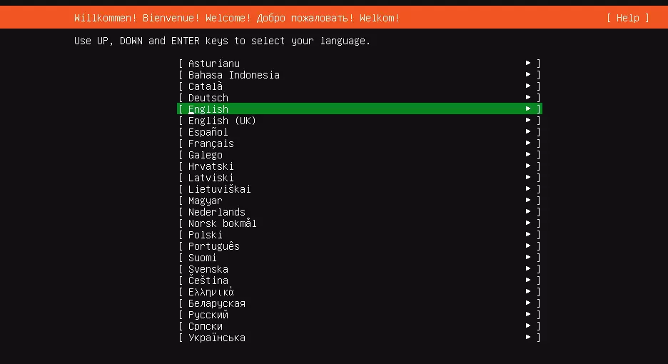 Image: Ubuntu Server installation: Language selection