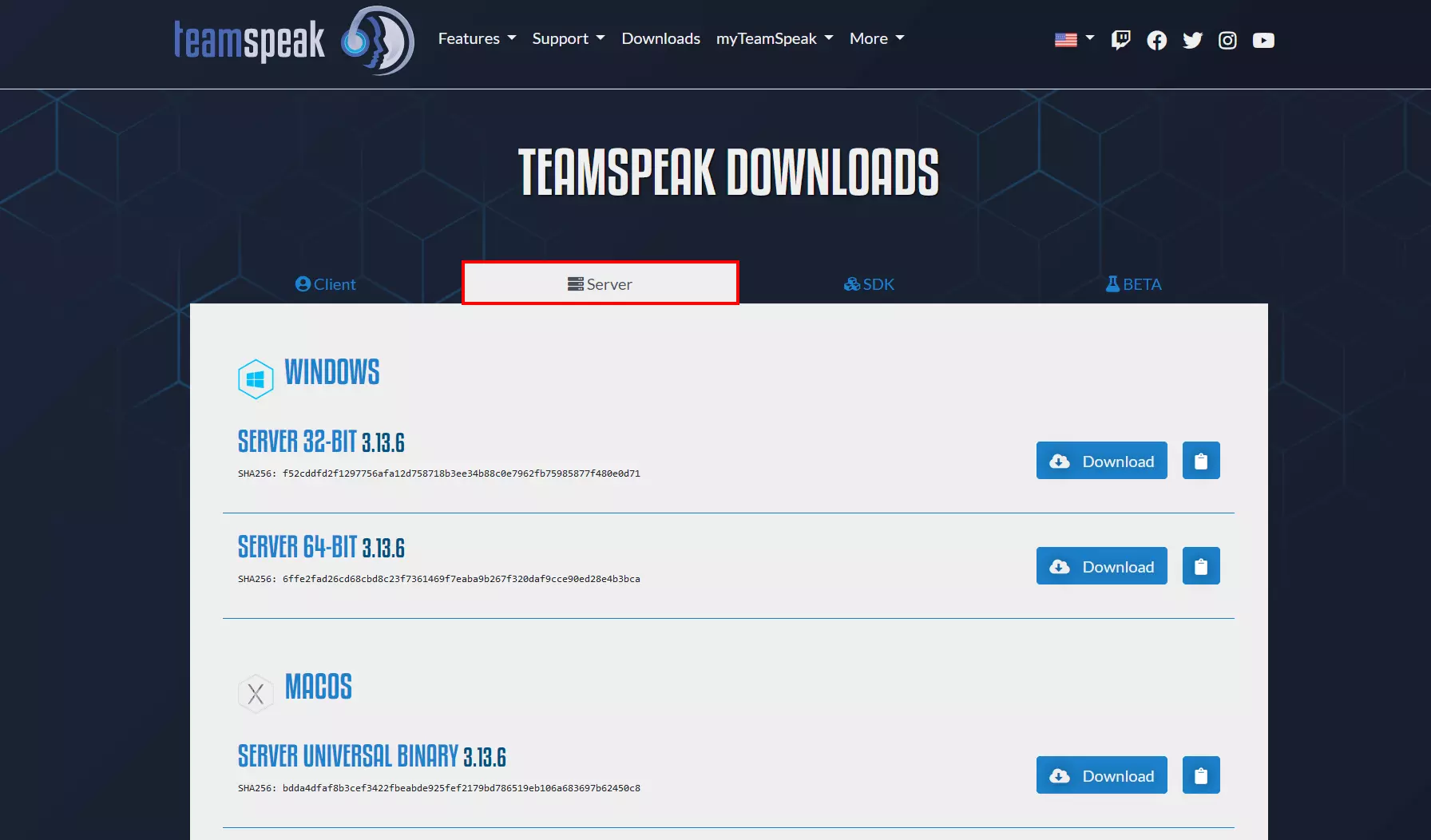 Screenshot of the TeamSpeak download section Image: Screenshot of the TeamSpeak download section