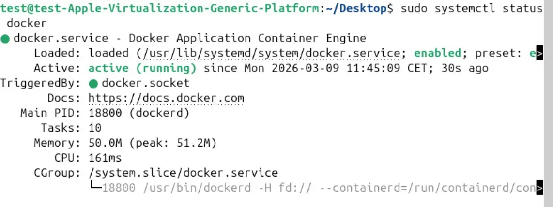 Image: Display of the Docker status