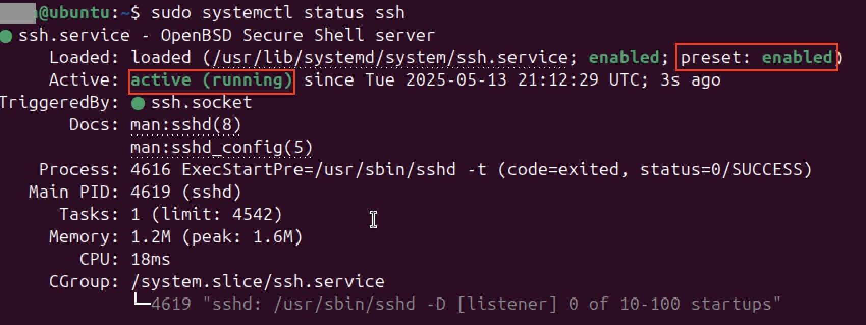 Captura de pantalla del estado de SSH en el terminal Imagen: Captura de pantalla del estado de SSH en el terminal