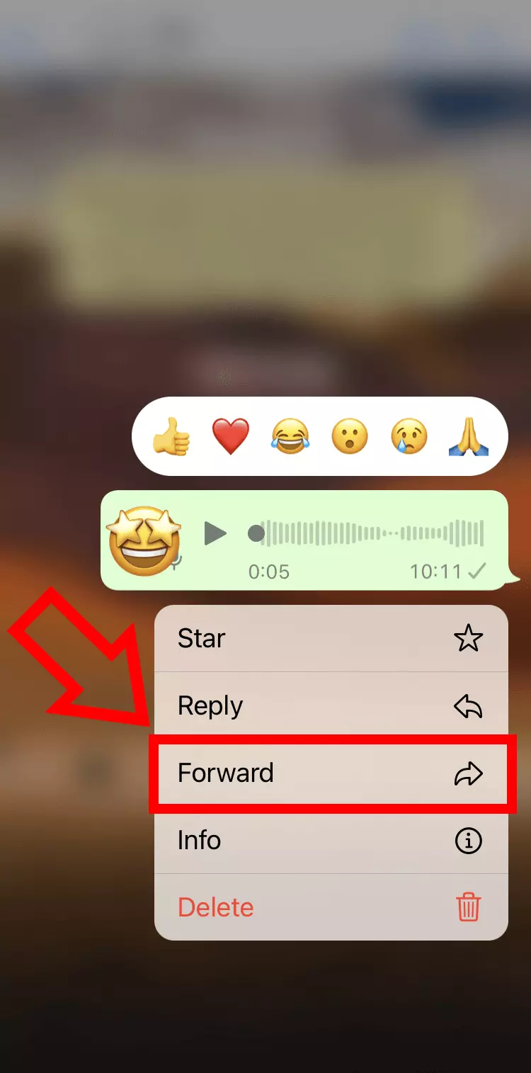 Imagen: Captura de iPhone con la opción “Reenviar” en WhatsApp