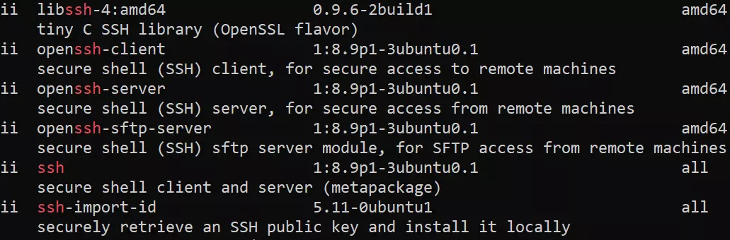 Terminal: paquetes OpenSSH instalados Imagen: Terminal: paquetes OpenSSH instalados