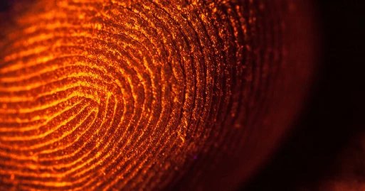 Canvas fingerprinting: te presentamos al sucesor de las cookies Canvas fingerprinting: te presentamos al sucesor de las cookies