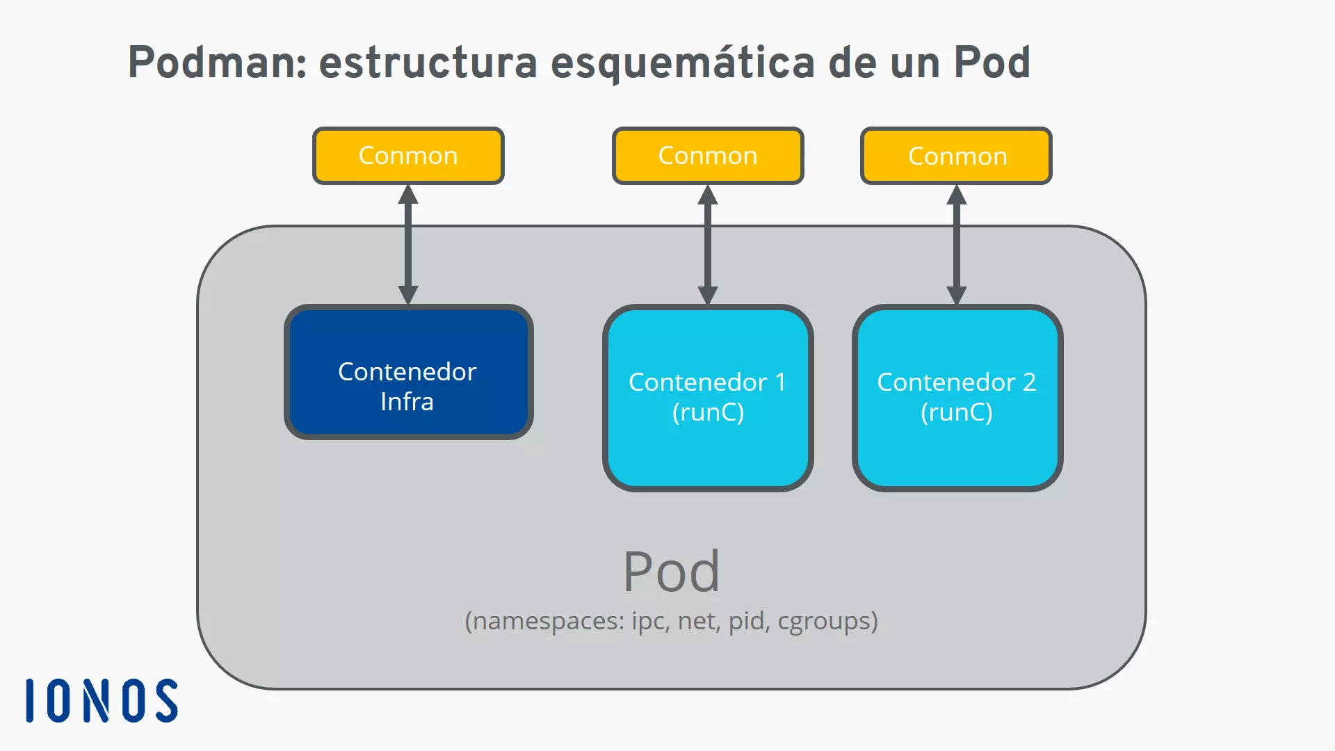 Imagen: Gráfica: estructura esquemática de un pod