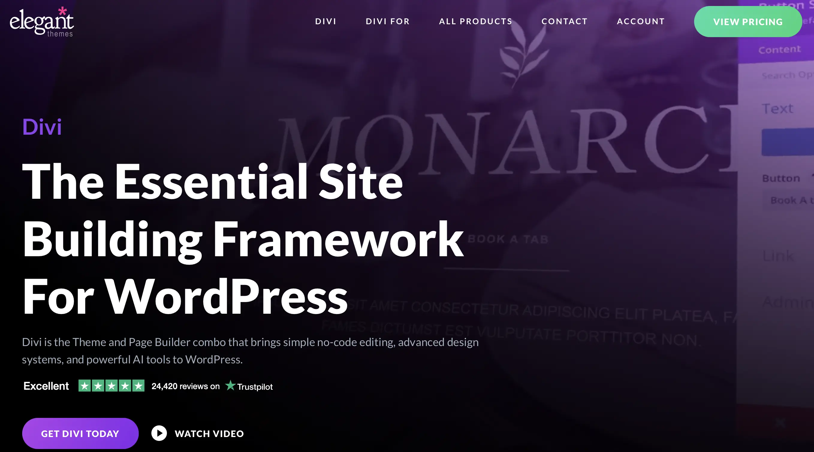 Plantilla Divi de WordPress hecha por Elegant Themes Imagen: Plantilla Divi de WordPress hecha por Elegant Themes