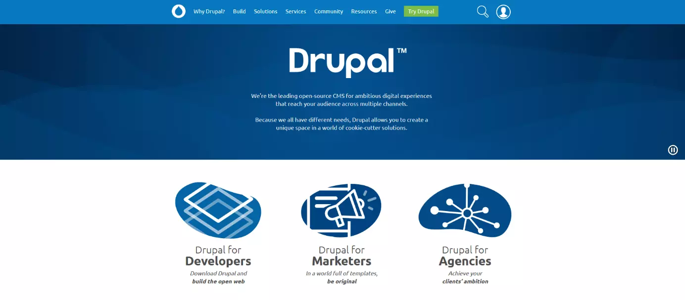 Imagen: Página principal del proyecto Drupal