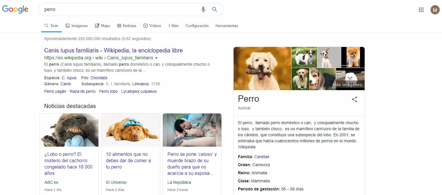 Imagen: Knowledge Graph de la búsqueda “perro”