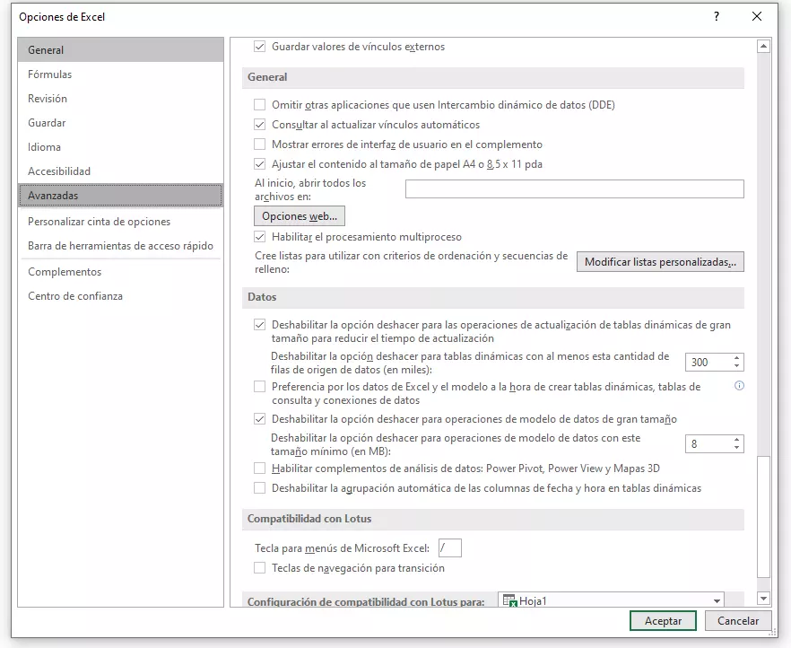 Imagen: Ajustes avanzados en Excel