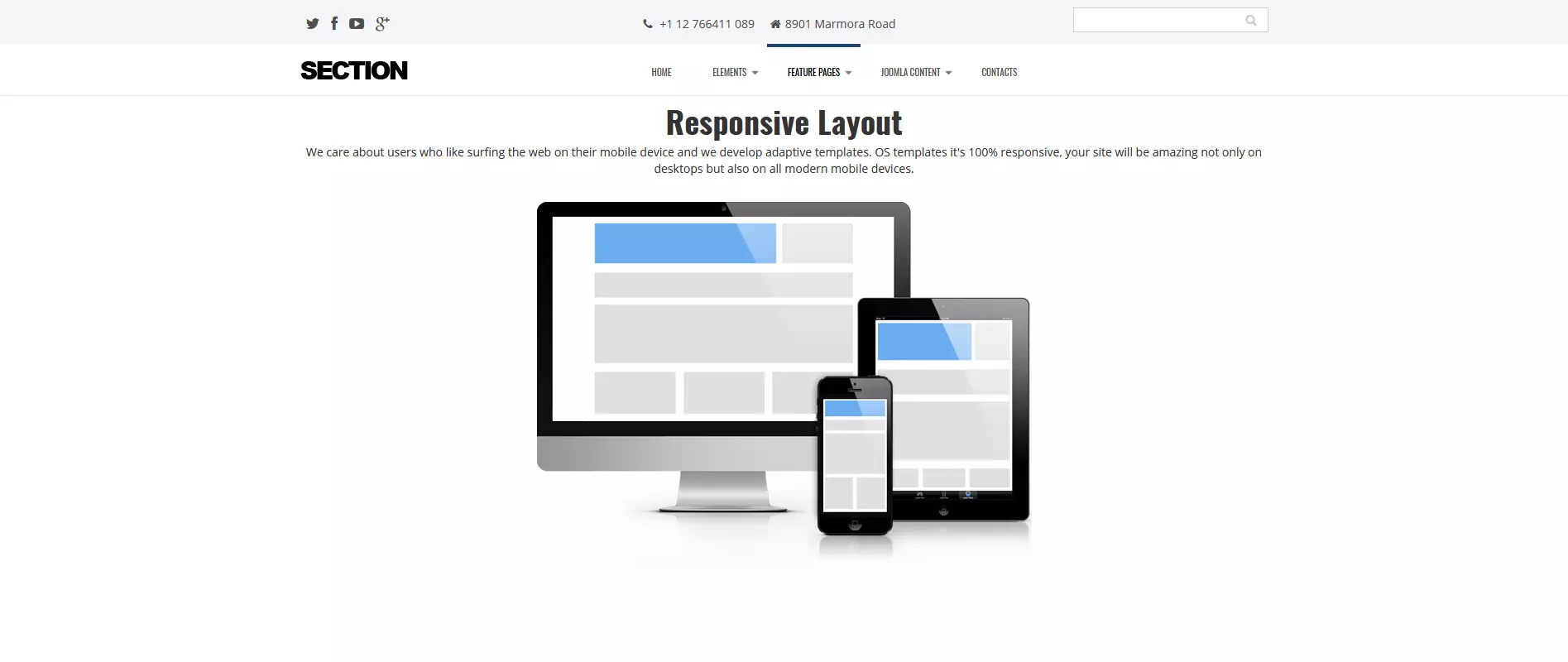 Imagen: Captura de pantalla de la plantilla Joomla Section