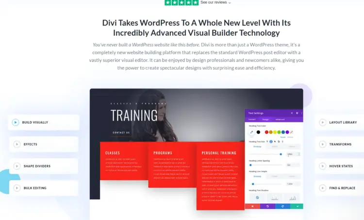 Página de inicio del desarrollador de elegant themes de Divi Página de inicio del desarrollador de elegant themes de Divi