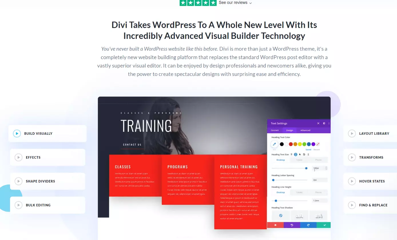 Imagen: Página de inicio del desarrollador de elegant themes de Divi