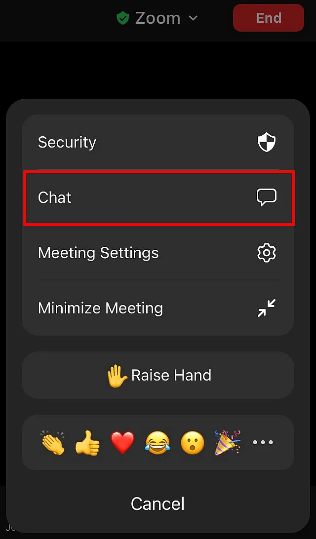 Imagen: Función de chat en la aplicación de móvil de Zoom