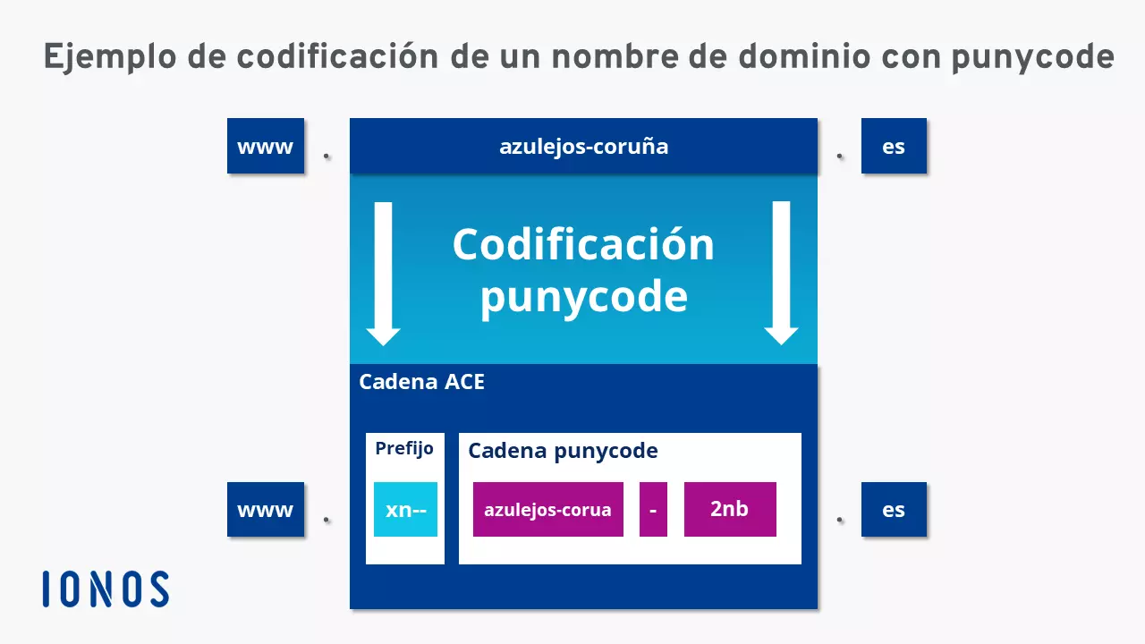 Vista de las secciones que componen la cadena ACE Vista de las secciones que componen la cadena ACE