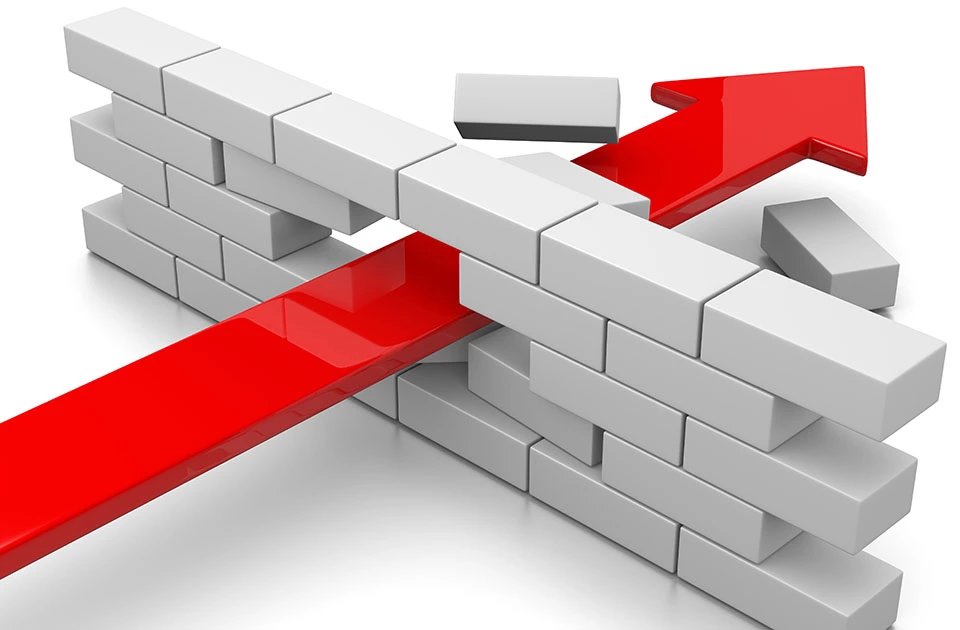 Imagen: Gran diversidad de formatos y accesibilidad web