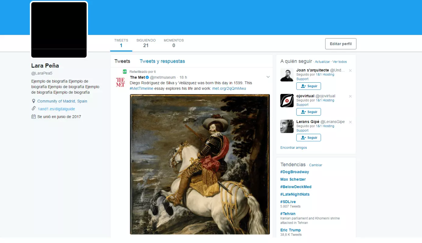 Imagen: Captura de pantalla de una nueva cuenta en Twitter y su primer retuit